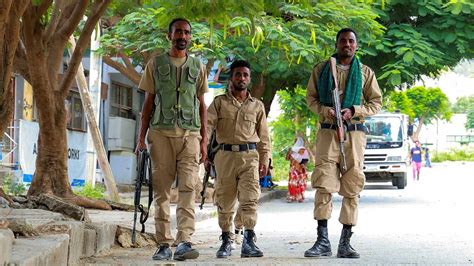 Ethiopia on the Brink: A New War and the Question of Foreign Intervention